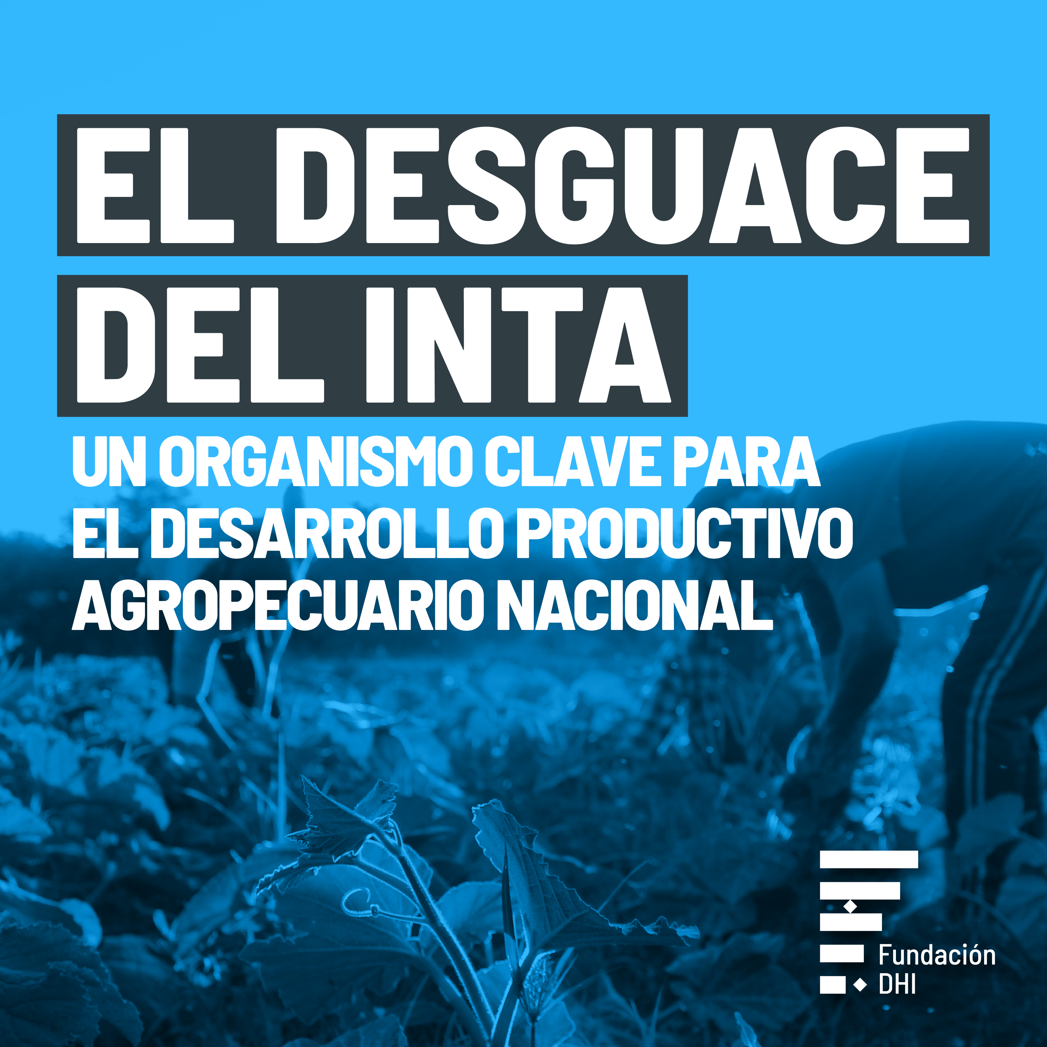 INFORME | EL DESGUACE DEL INTA: un organismo clave para el desarrollo productivo agropecuario nacional